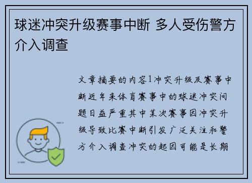球迷冲突升级赛事中断 多人受伤警方介入调查